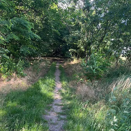 Top-ferienwohnung Bei Berlin, Bis 3 Gaeste, Terrasse Und Garten 아파트