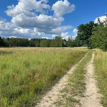 Top-ferienwohnung Bei Berlin, Bis 3 Gaeste, Terrasse Und Garten 아파트 *