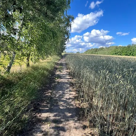Top-ferienwohnung Bei Berlin, Bis 3 Gaeste, Terrasse Und Garten 아파트 베슈텐지