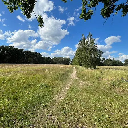 Top-ferienwohnung Bei Berlin, Bis 3 Gaeste, Terrasse Und Garten *
