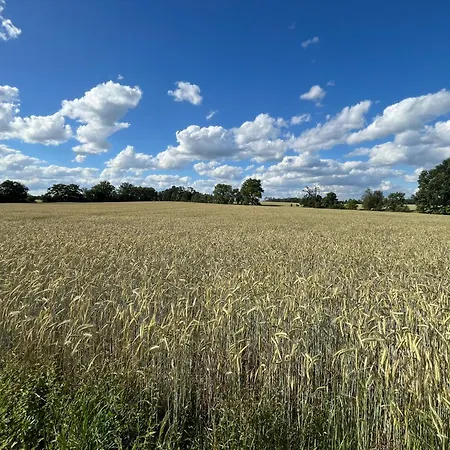 Top-ferienwohnung Bei Berlin, Bis 3 Gaeste, Terrasse Und Garten * 베슈텐지