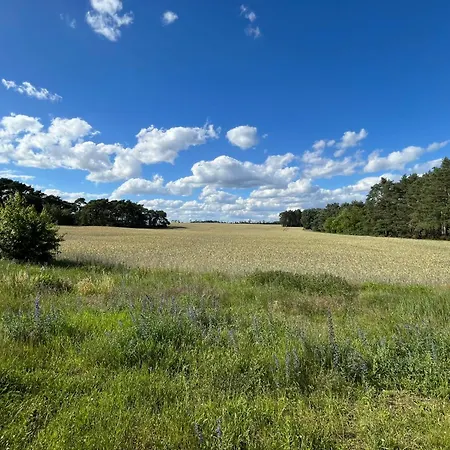 Top-ferienwohnung Bei Berlin, Bis 3 Gaeste, Terrasse Und Garten Apartment *
