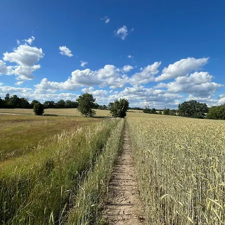 아파트 Top-ferienwohnung Bei Berlin, Bis 3 Gaeste, Terrasse Und Garten 베슈텐지