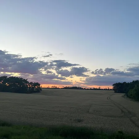 Top-ferienwohnung Bei Berlin, Bis 3 Gaeste, Terrasse Und Garten 아파트 베슈텐지