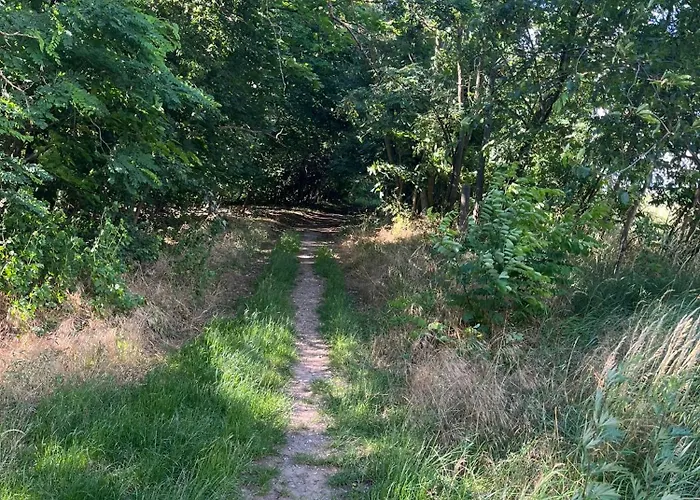 Top-ferienwohnung Bei Berlin, Bis 3 Gaeste, Terrasse Und Garten Apartment