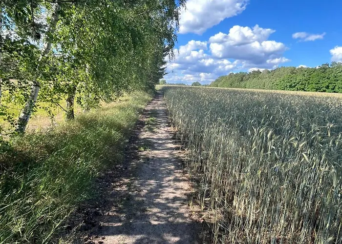 Top-ferienwohnung Bei Berlin, Bis 3 Gaeste, Terrasse Und Garten Apartment Bestensee