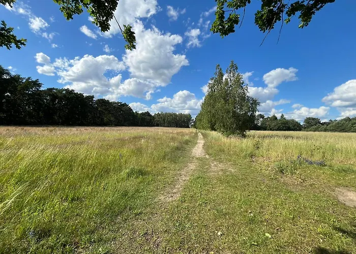 Top-ferienwohnung Bei Berlin, Bis 3 Gaeste, Terrasse Und Garten *