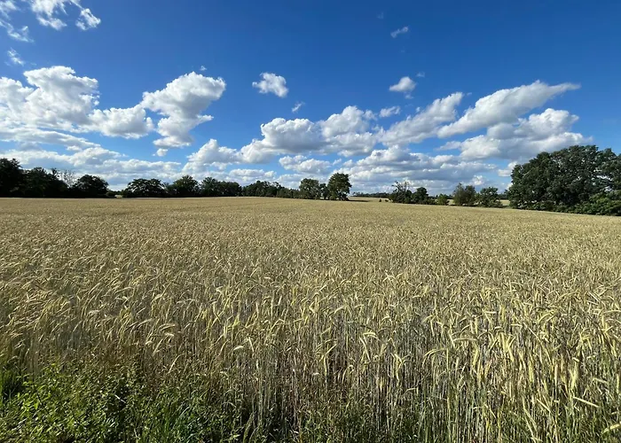Top-ferienwohnung Bei Berlin, Bis 3 Gaeste, Terrasse Und Garten * Bestensee