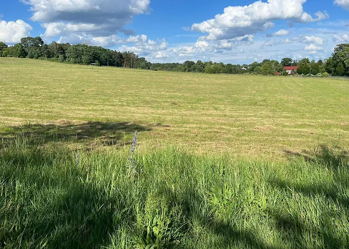Apartment Top-ferienwohnung Bei Berlin, Bis 3 Gaeste, Terrasse Und Garten