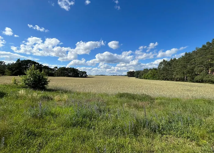 Top-ferienwohnung Bei Berlin, Bis 3 Gaeste, Terrasse Und Garten Apartment *