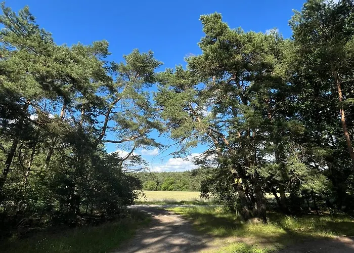 Top-ferienwohnung Bei Berlin, Bis 3 Gaeste, Terrasse Und Garten Apartment
