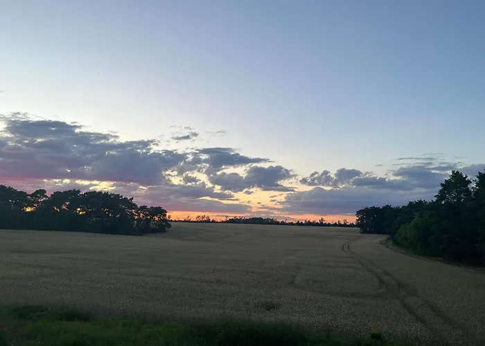 Top-ferienwohnung Bei Berlin, Bis 3 Gaeste, Terrasse Und Garten Apartment Bestensee